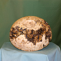 2014 - Galleries Jul-Sep